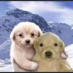 Meet your Posher, Gretchen